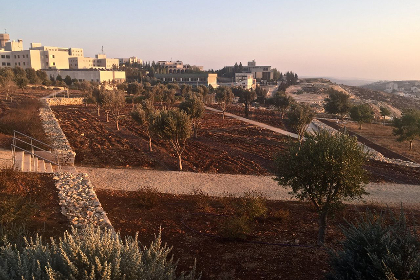 The earth, in the gardens of the Palestinian Museum, with Birzeit University in the background, seen at sunset.