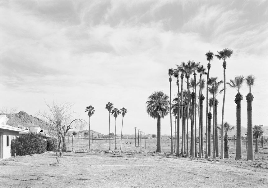 AN-MY LÊ, Marine Palms, 2003–04, silver gelatin print, 96.5 × 67.3 cm. Copyright the artist. Courtesy the artist and Marian Goodman Gallery, New York / Paris / London.