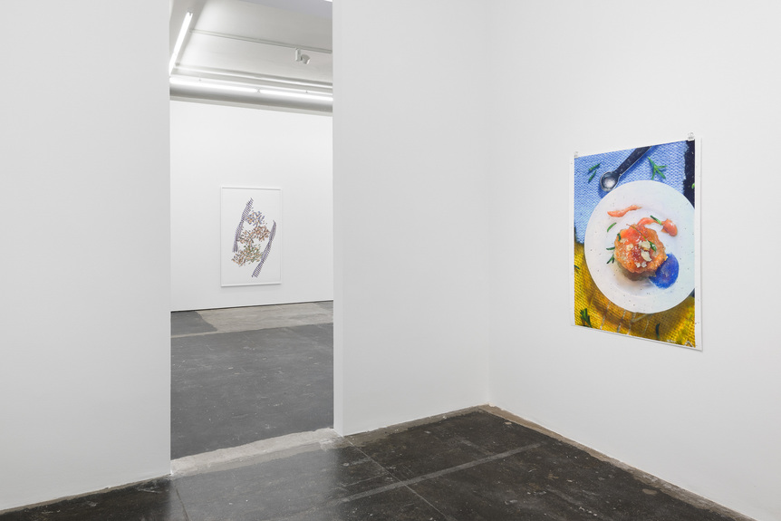 Installation view of RAN ZHANG’s (left to right) Resolution of Traits 7, 2019, fictional objects wrapped around the Cryo-EM structure of a human cytoplasmic actomyosin
acrylic, watercolor, ink and pigment on inkjet print, 177 × 112 cm; Chiral (2), 2017–18, punched holes on inkjet print of 100 times magnified miniature food setting, 120 × 91 cm, at “Enantiomers and traces,” Plan B, Berlin, 2020. Photo by Trevor Good.